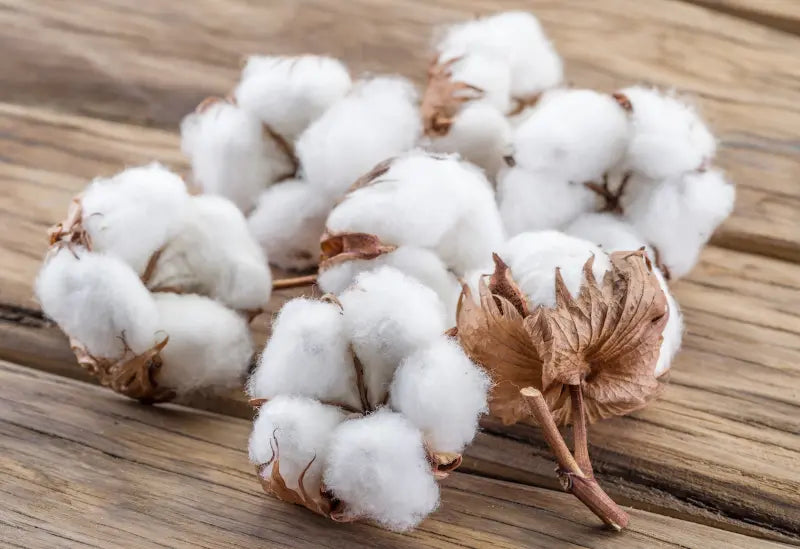 kalkedon towels turkish cotton
