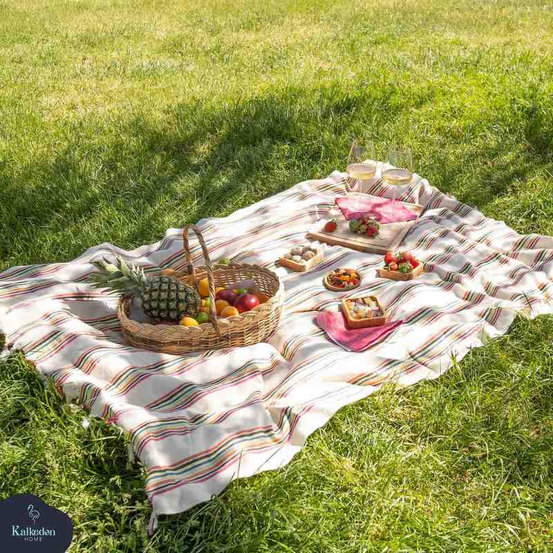 rainbow throw blanket picnic